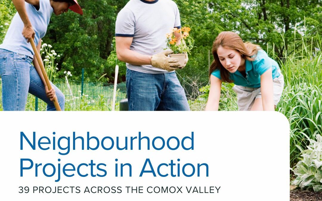 New Neighbourhood Small Grants Fund Big Community Connections