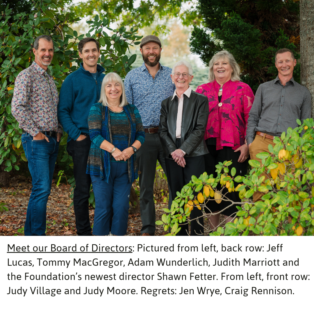Meet the Board guiding your Community Foundation
